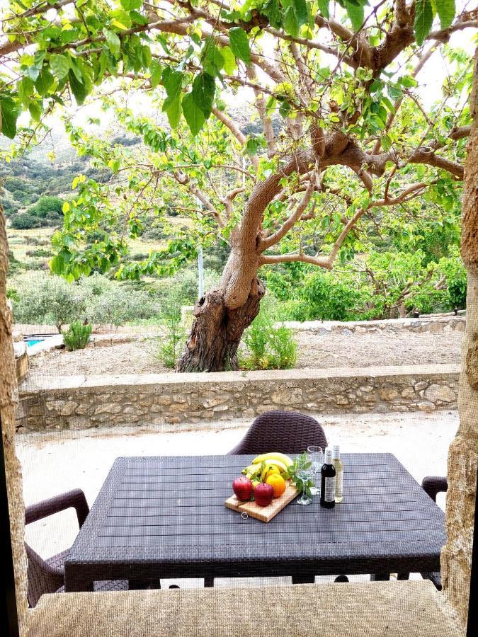 Petrakis Cretan Homes Kíssamos Exteriör bild