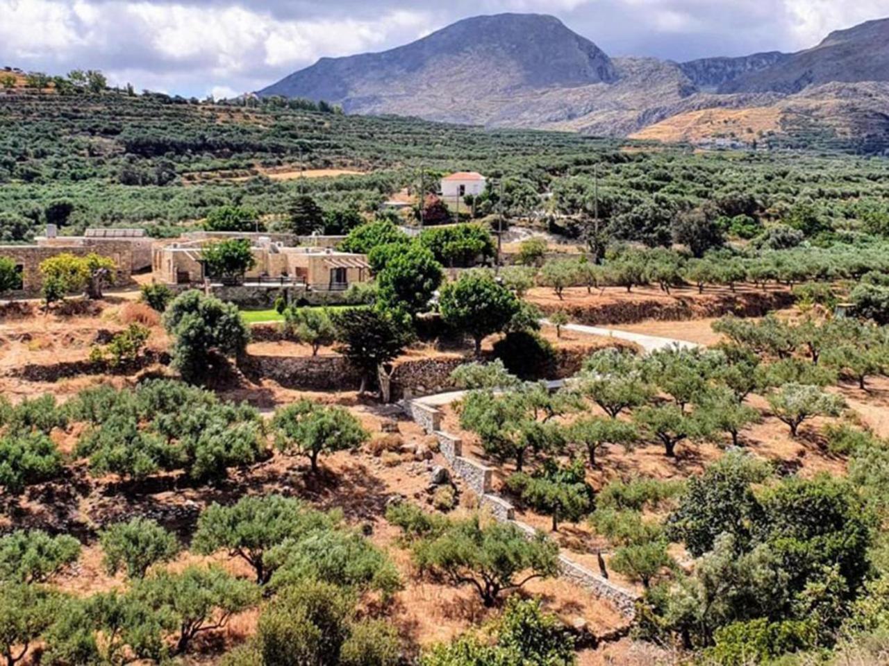 Petrakis Cretan Homes Kíssamos Exteriör bild