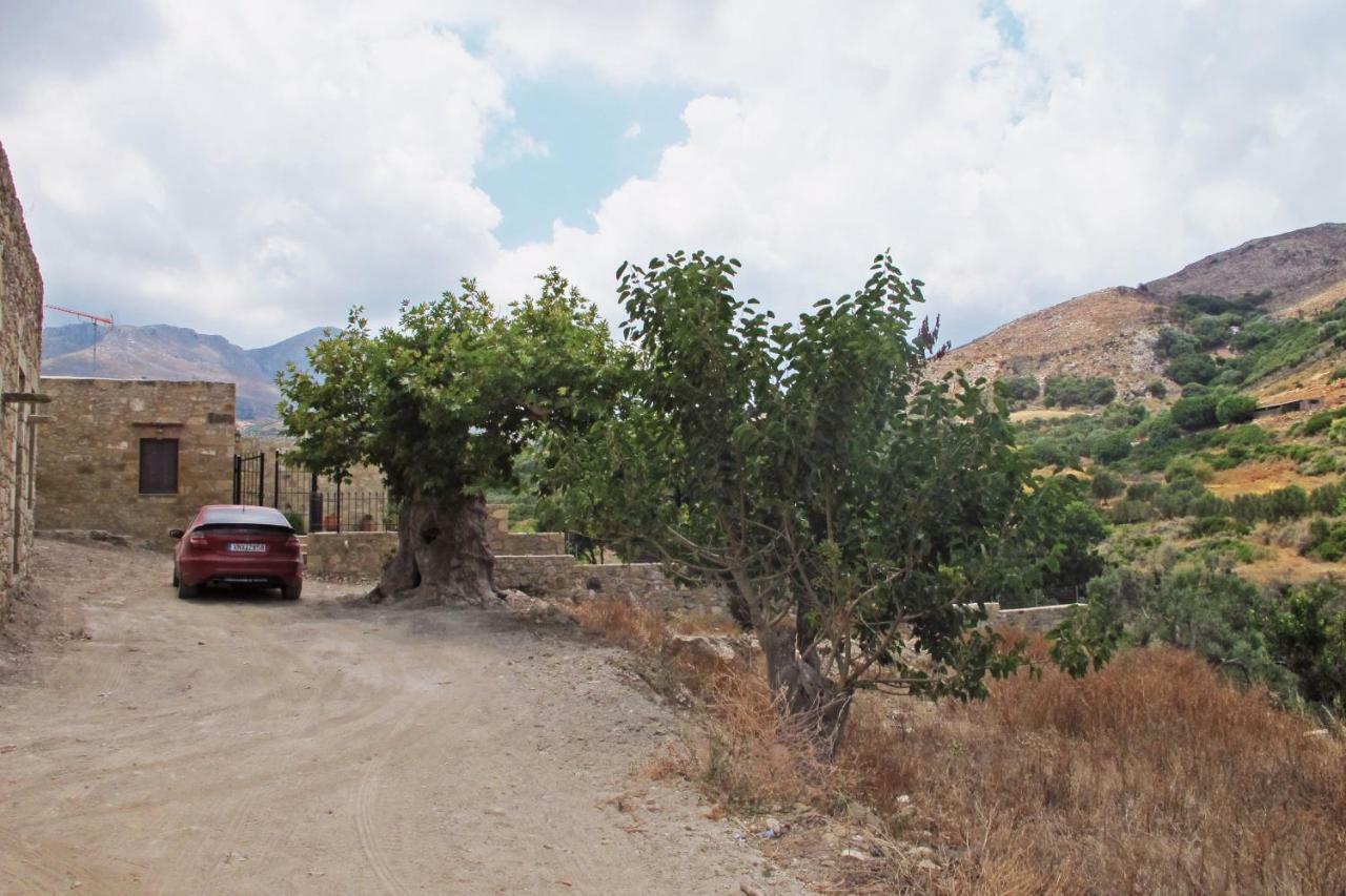 Petrakis Cretan Homes Kíssamos Exteriör bild