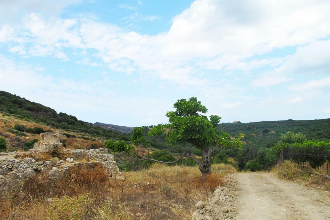 Petrakis Cretan Homes Kíssamos Exteriör bild