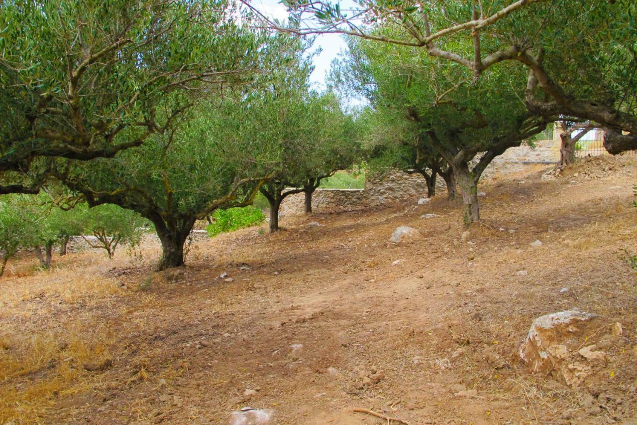Petrakis Cretan Homes Kíssamos Exteriör bild