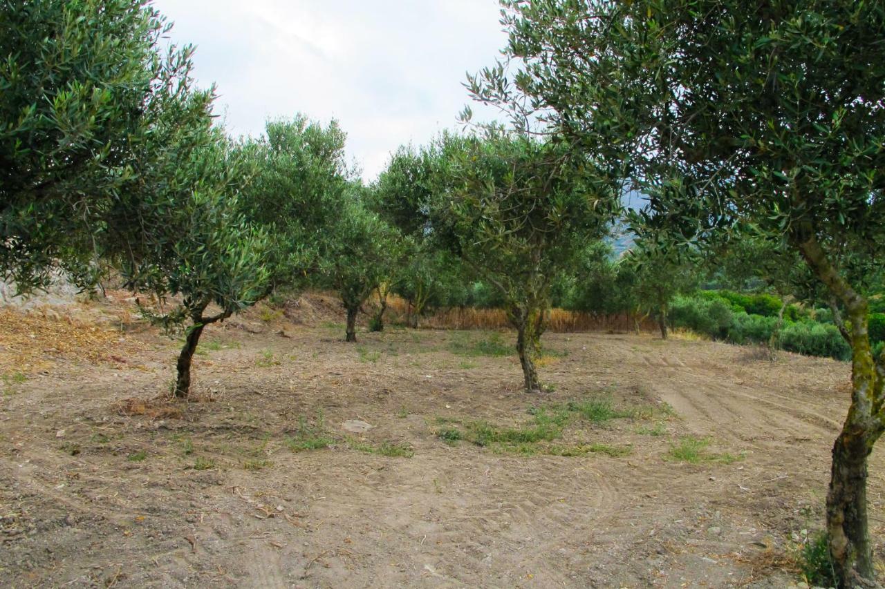 Petrakis Cretan Homes Kíssamos Exteriör bild