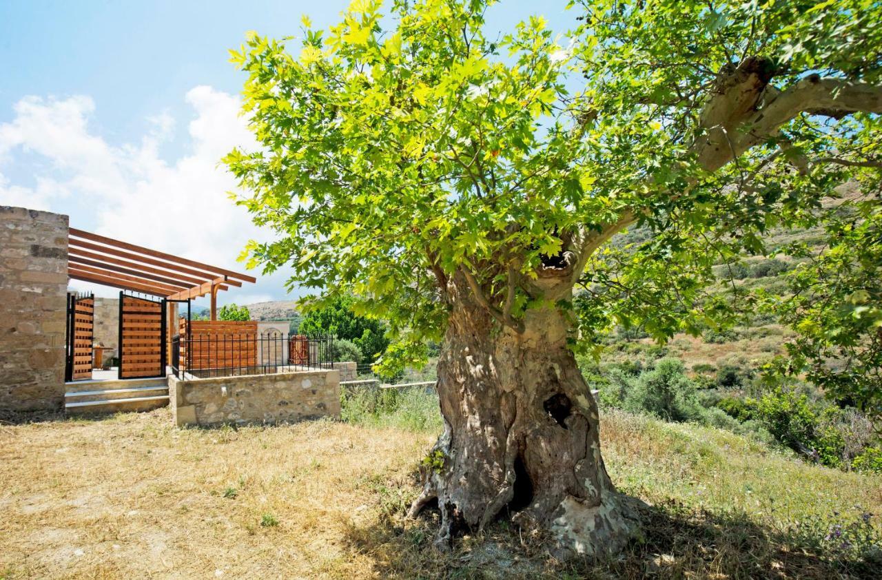 Petrakis Cretan Homes Kíssamos Exteriör bild